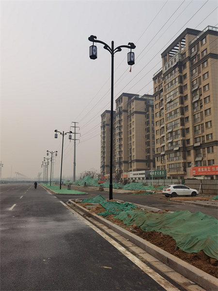 山东樱桃免费视频厂家供应