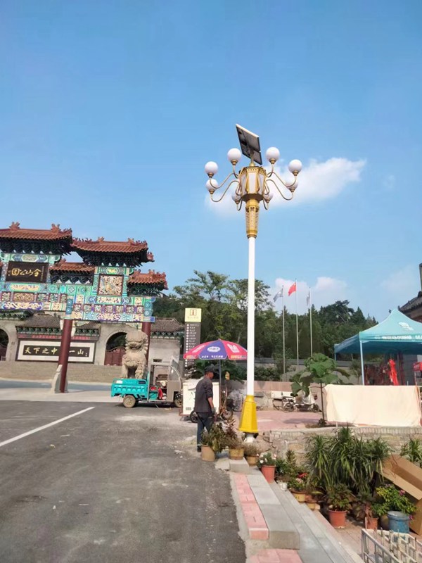 太阳能樱桃免费视频供应
